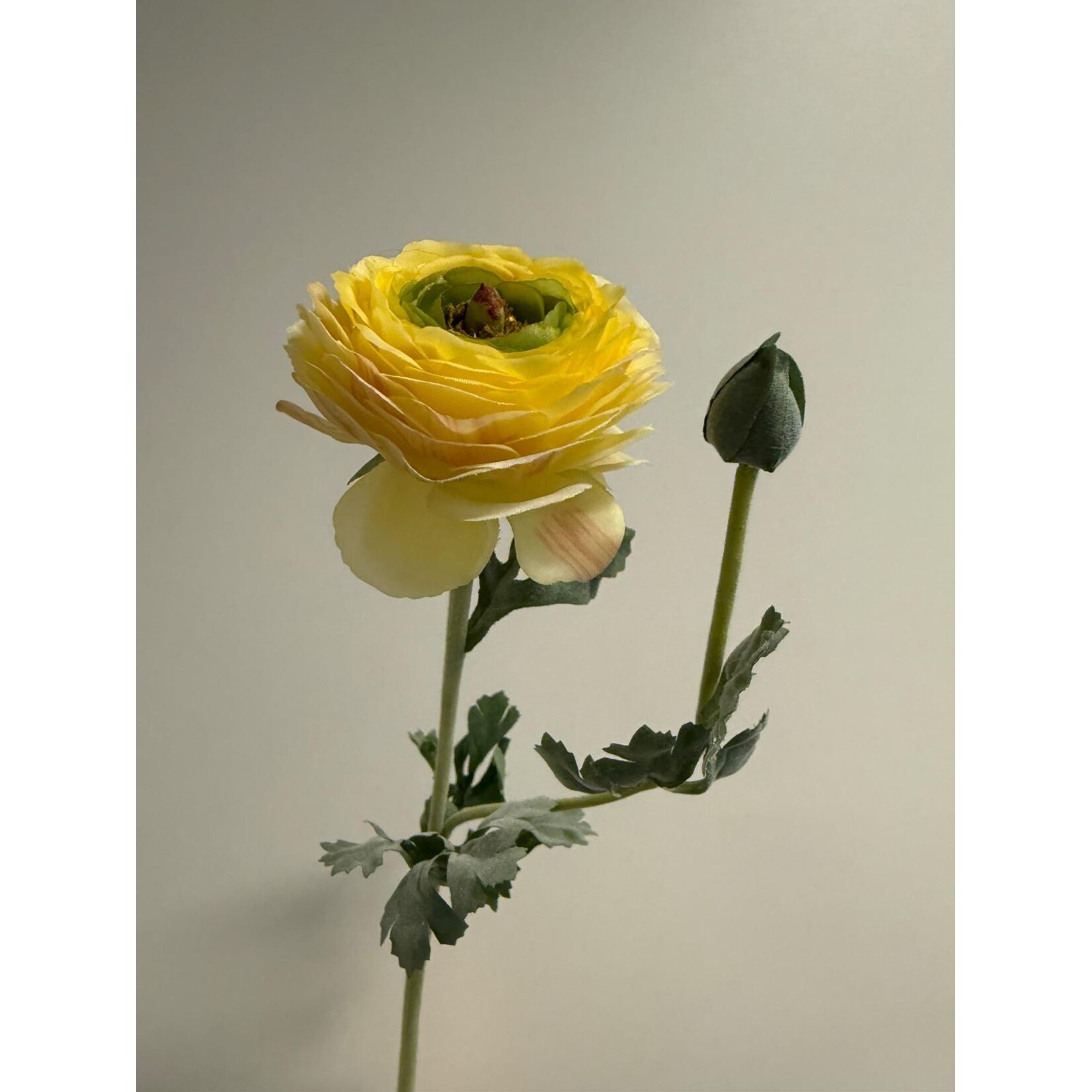 RANONKEL AMANDINE | GEEL | 68 CM