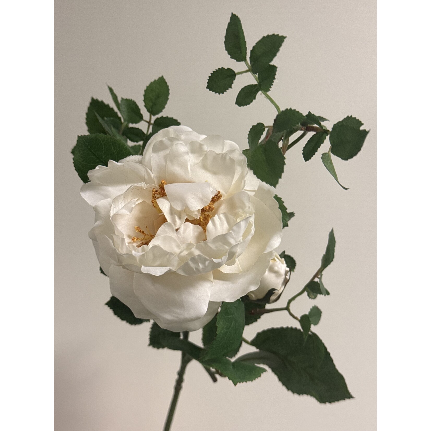 ROOS ICEBERG | WIT | 40 CM