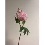 PEONY DO TELL | LIGHT PINK | 45 CM