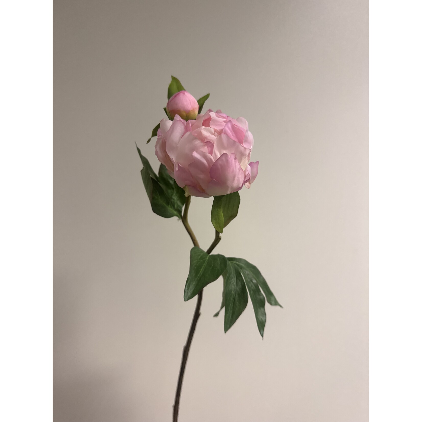 PEONY DO TELL | LIGHT PINK | 45 CM