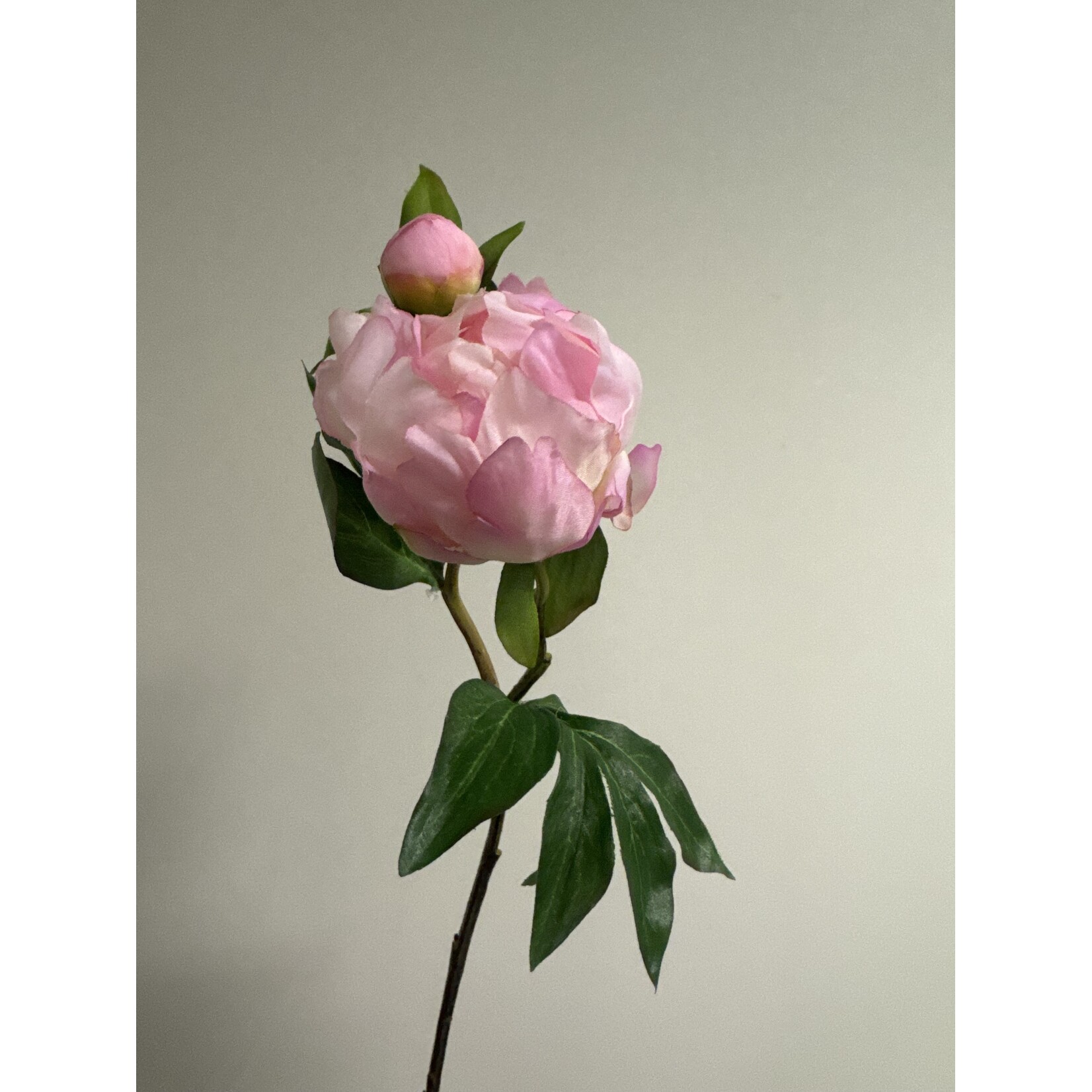 PEONY DO TELL | LIGHT PINK | 45 CM