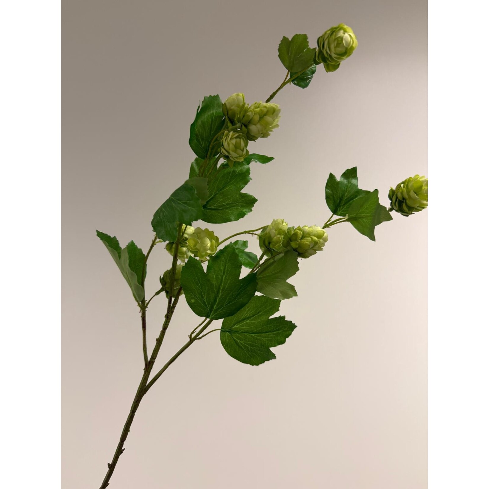 HOP TAK | GROEN | 77 CM