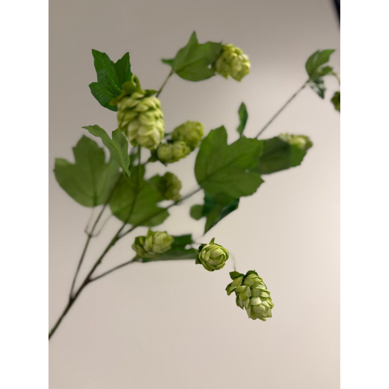 HOP TAK | GROEN | 77 CM