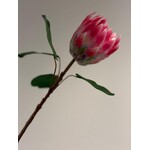 PROTEA | ROZE | 53 CM