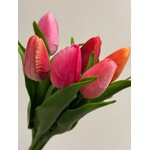 BOS TULPEN 6X | MULTI | 34 CM