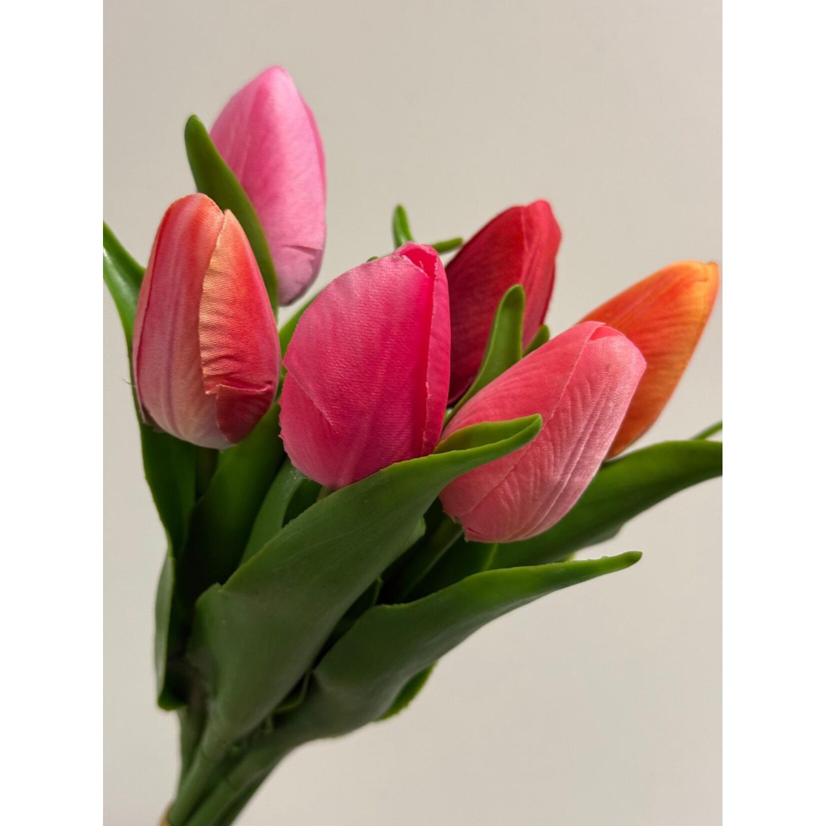 BOS TULPEN 6X | MULTI | 34 CM