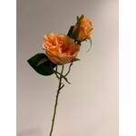 ROSE |ORANGE | 58 CM