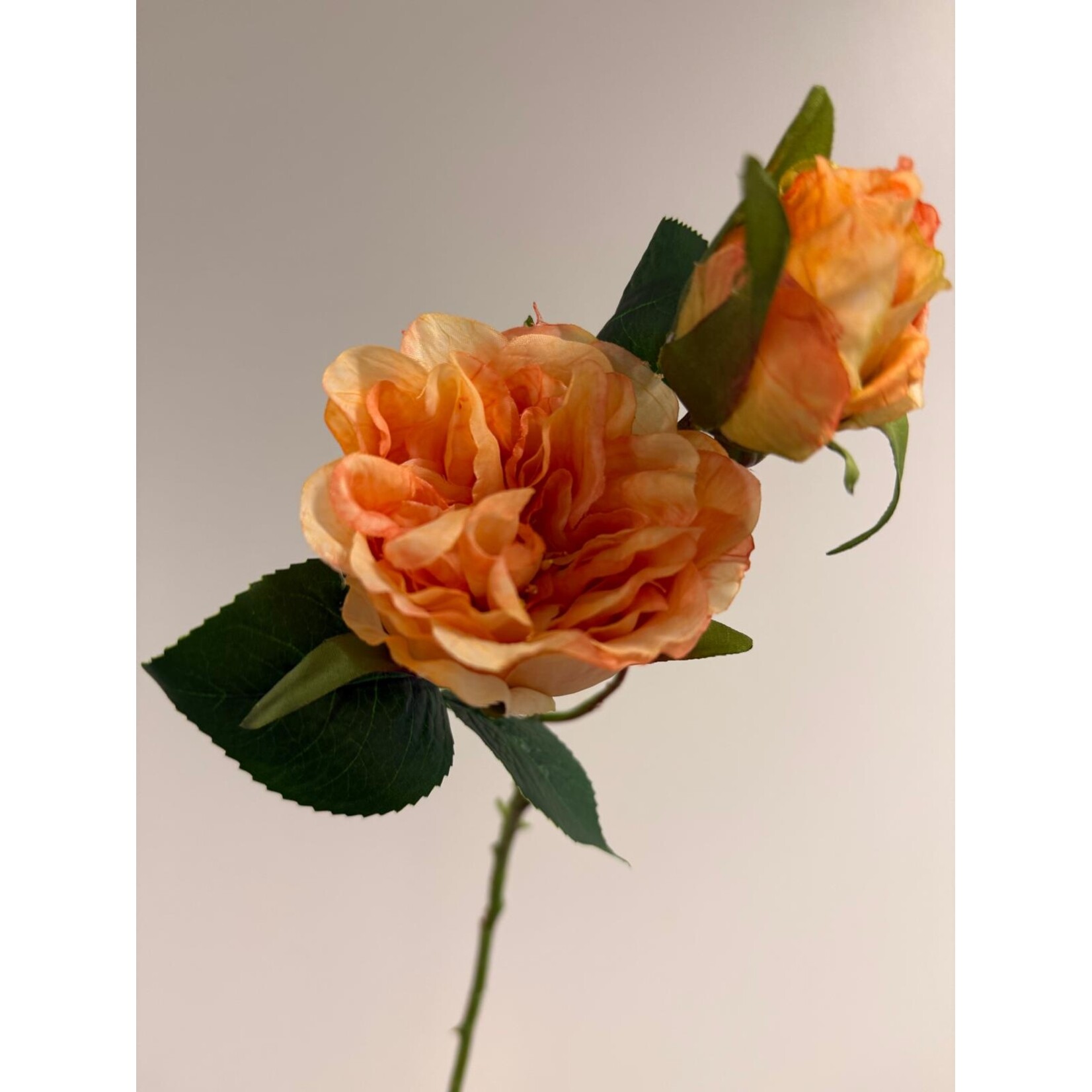 ROSE COPPER IMAGE | ORANGE | 58 CM