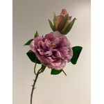 ROSE | LILAC | 58 CM