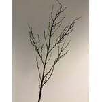 TWIG | BROWN | 88 CM
