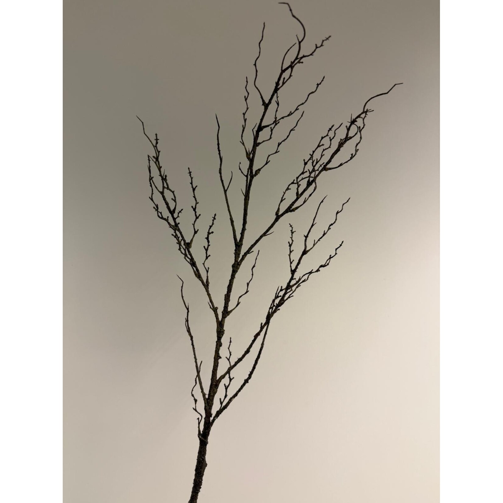TWIG | BROWN | 88 CM