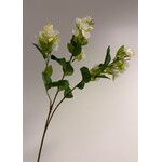 BLOESEM | WIT | 84 CM