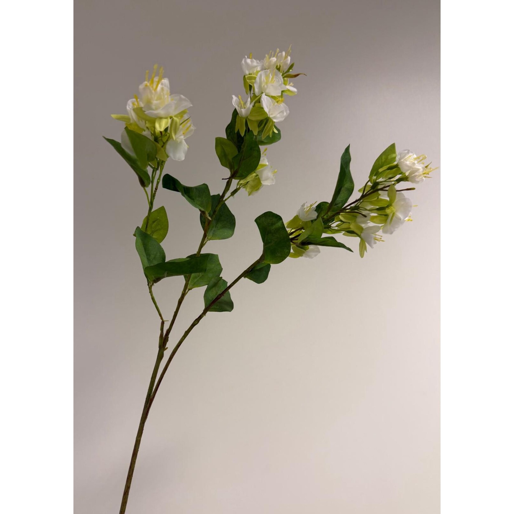 BLOESEM | WIT | 84 CM