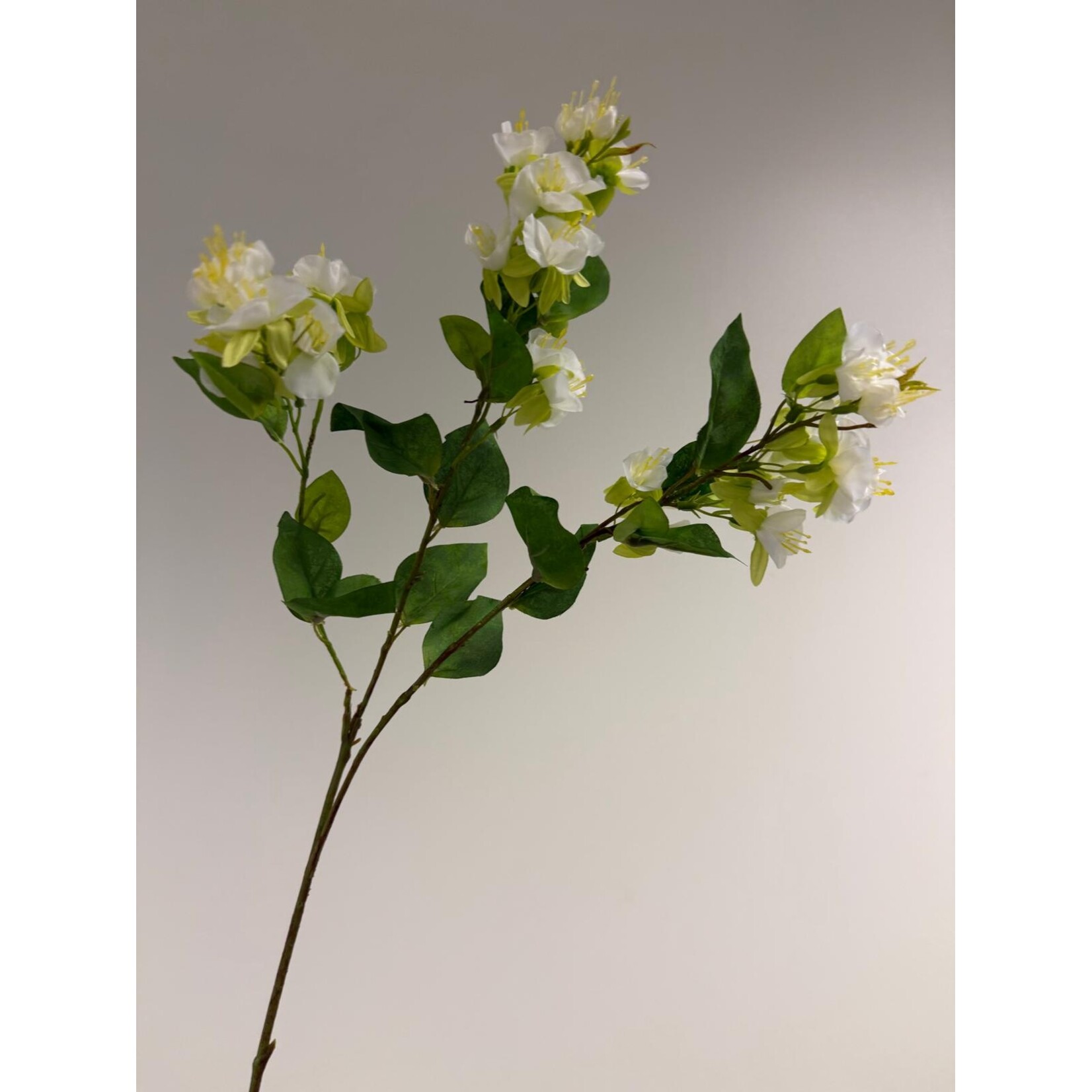 BLOESEM | WIT | 84 CM