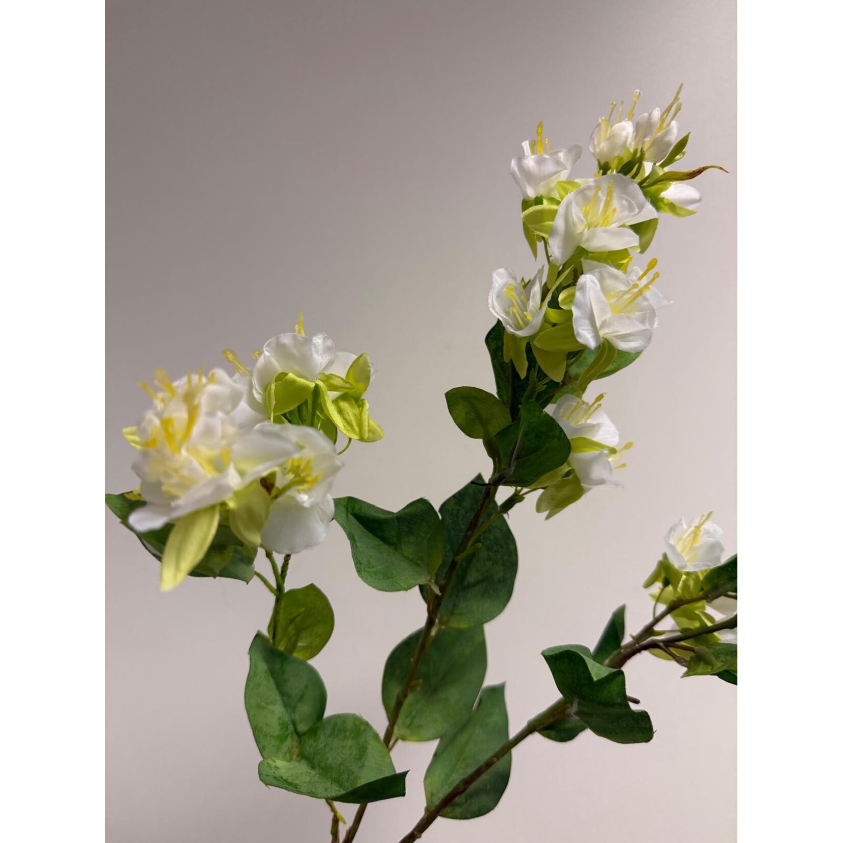 BLOESEM | WIT | 84 CM