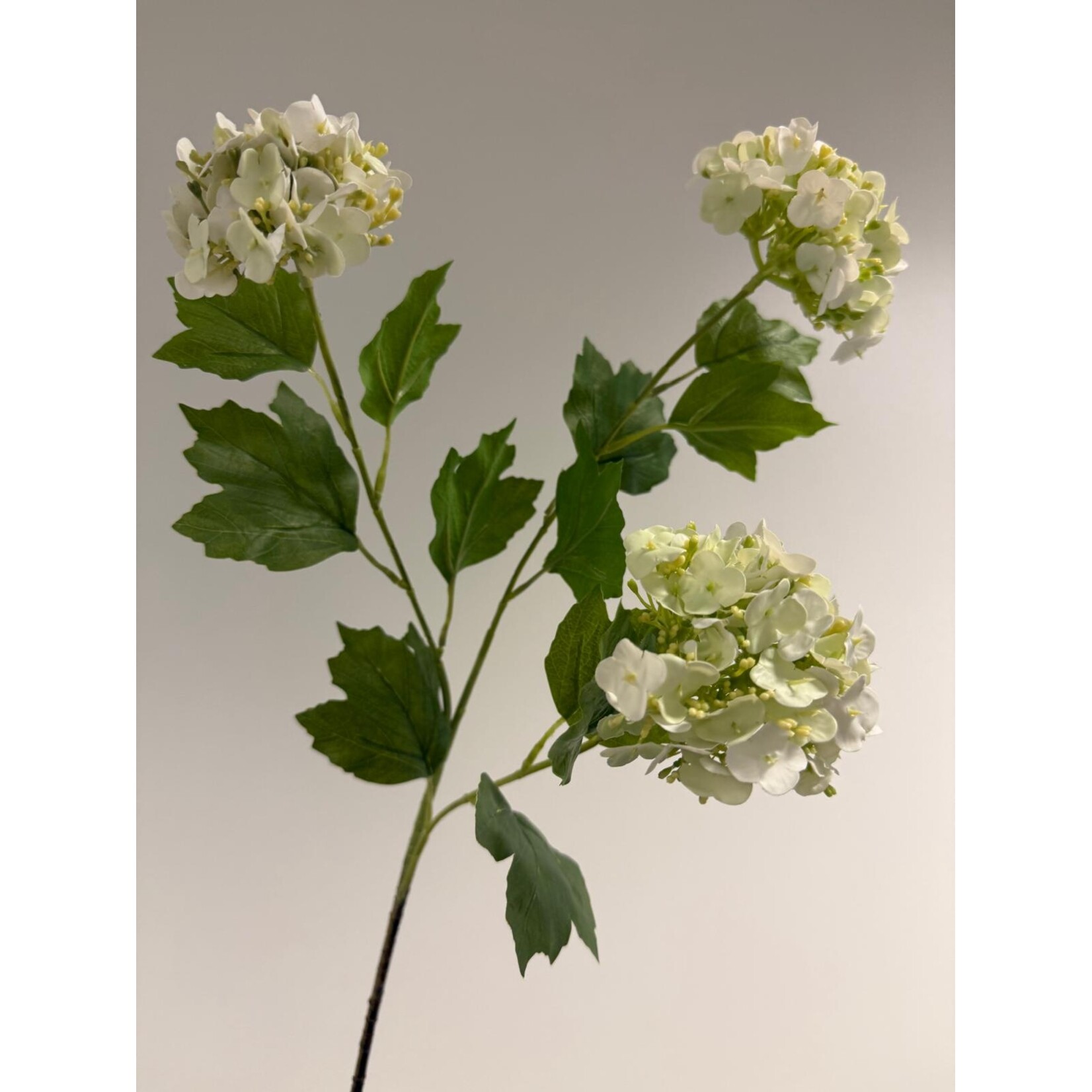 VIBURNUM | WHITE GREEN | 70 CM