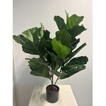 FICUS PLANT | GROEN | 70 CM