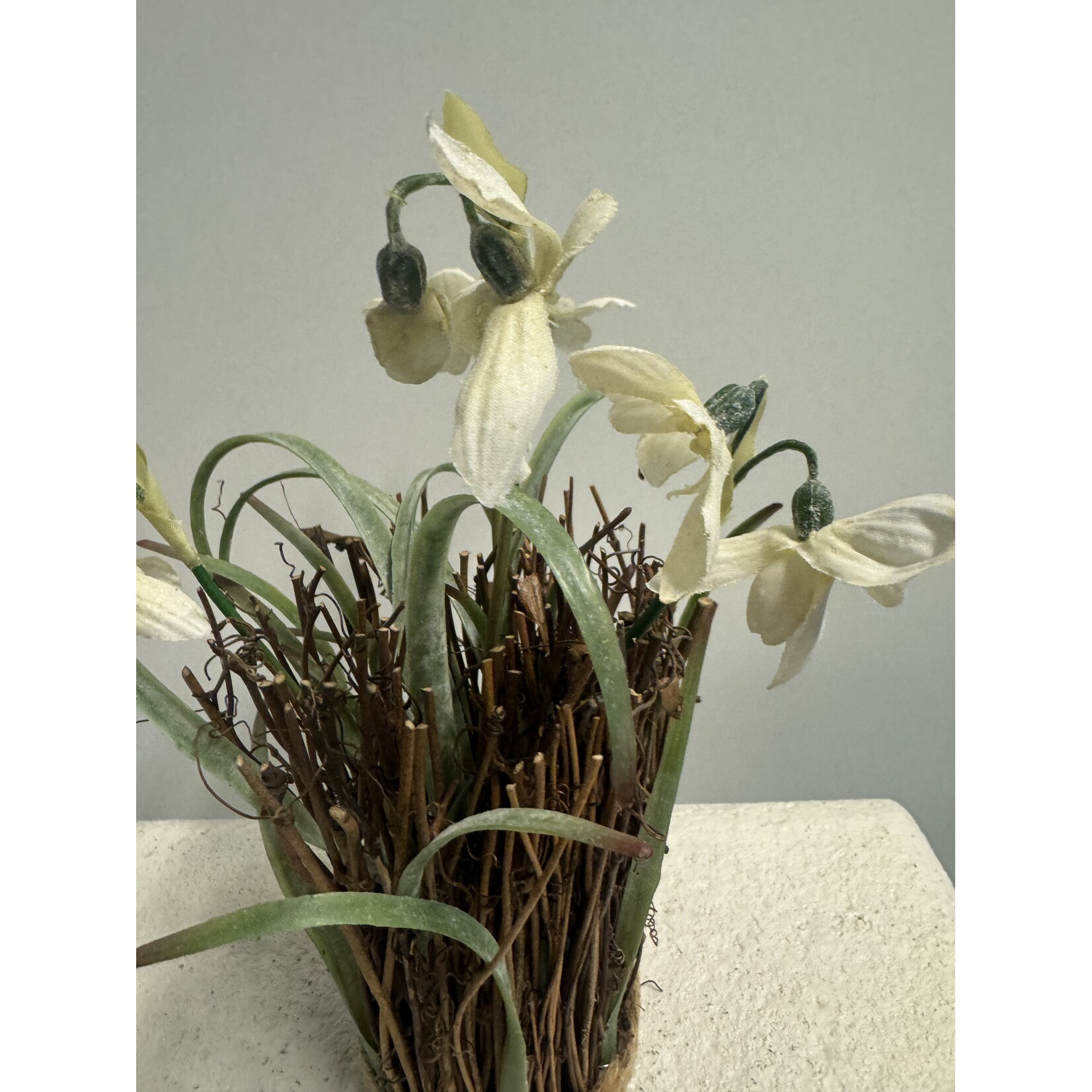 SNOWDROP  |WHITE | 25 CM