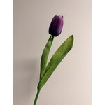 TULIP SHORT | PURPLE | 35 CM