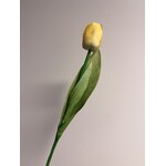 TULP KORT | GEEL  | 35 CM