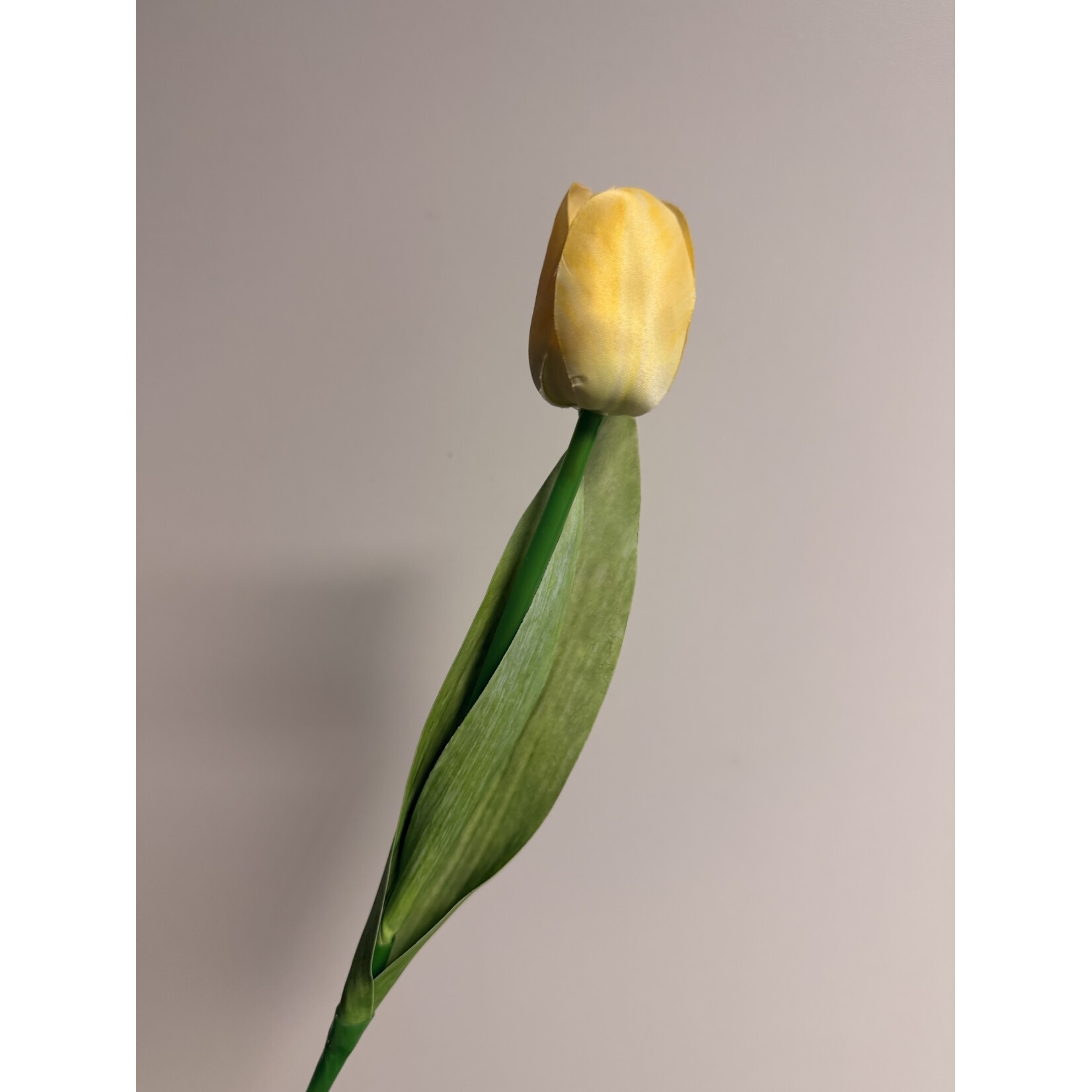 TULP KORT | GEEL  | 35 CM