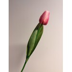 TULIP SHORT | LIGHT PINK | 35 CM