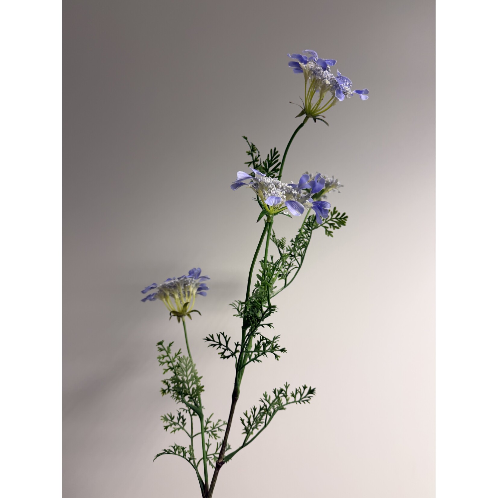 LACE FLOWER LACY BLUE | BLUE | 96 CM