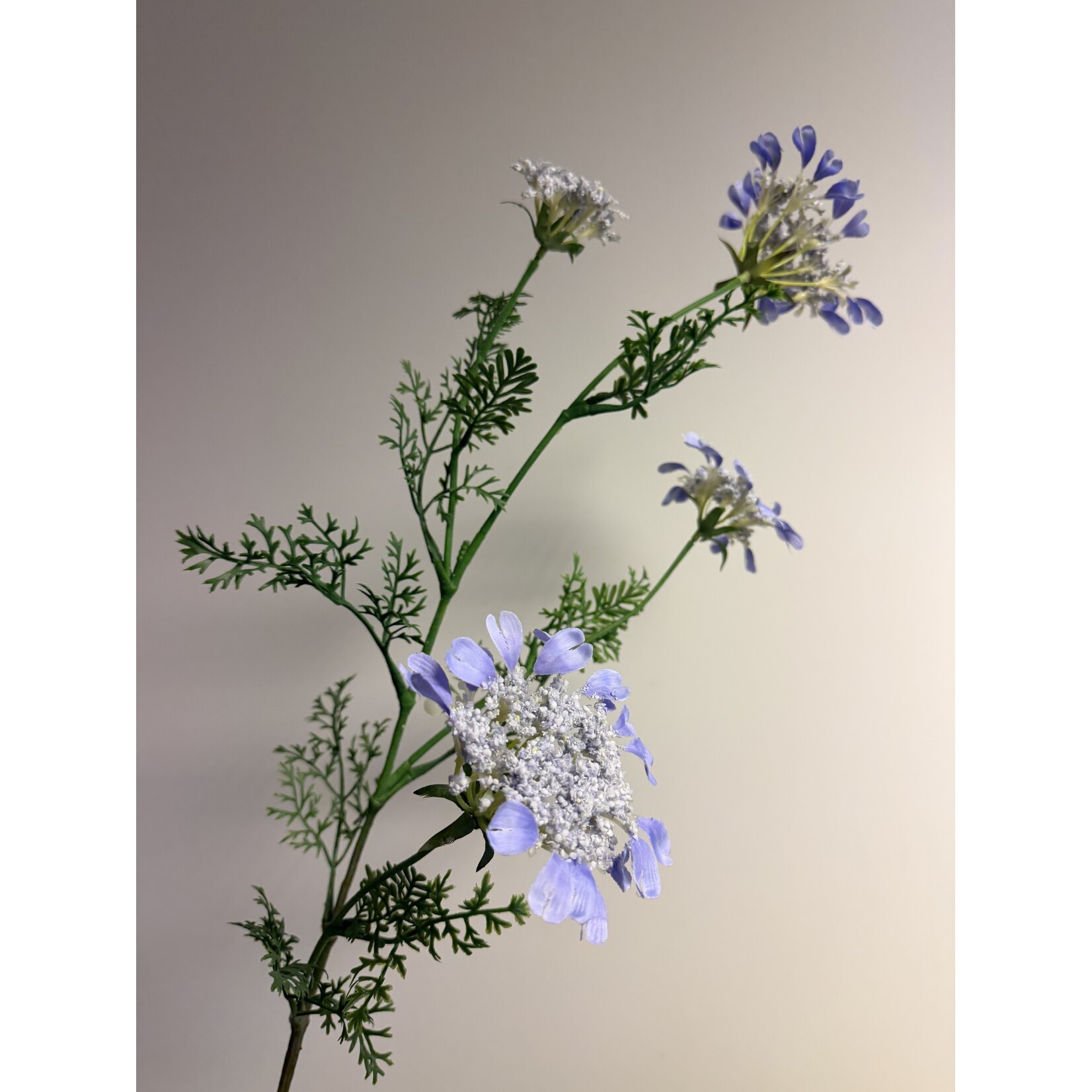 KANTBLOEM LACY BLUE| BLAUW  | 96 CM