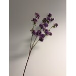 LACE FLOWER | PURPLE| 104 CM