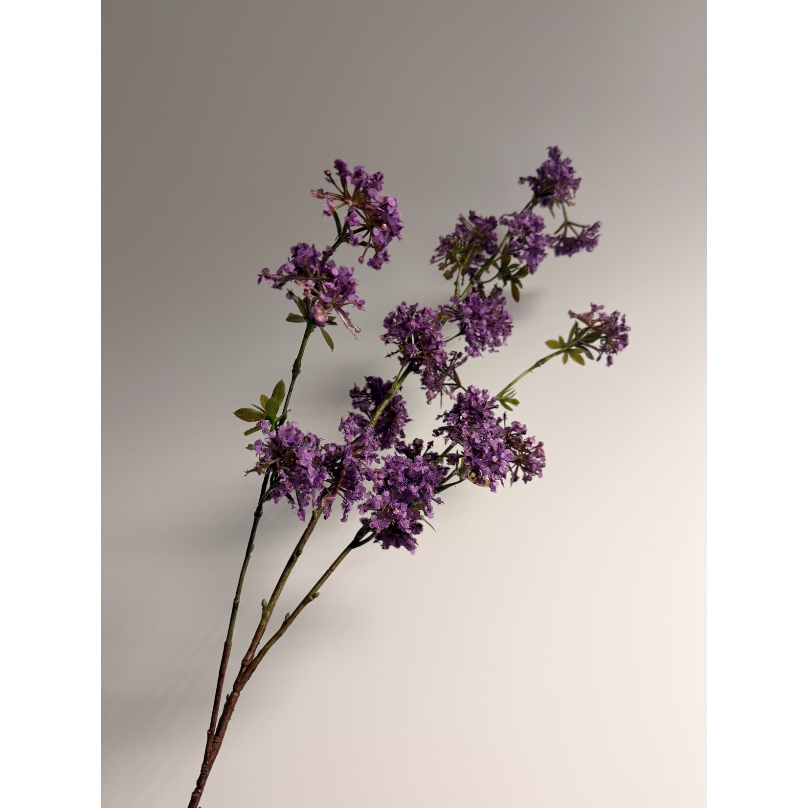 LACE FLOWER | PURPLE| 104 CM