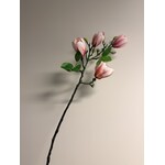 MAGNOLIA | LIGHT PINK | 67 CM