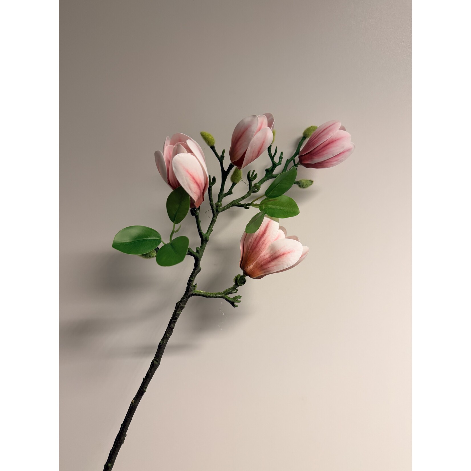 MAGNOLIA SVERIGES |LICHT ROZE| 67 CM