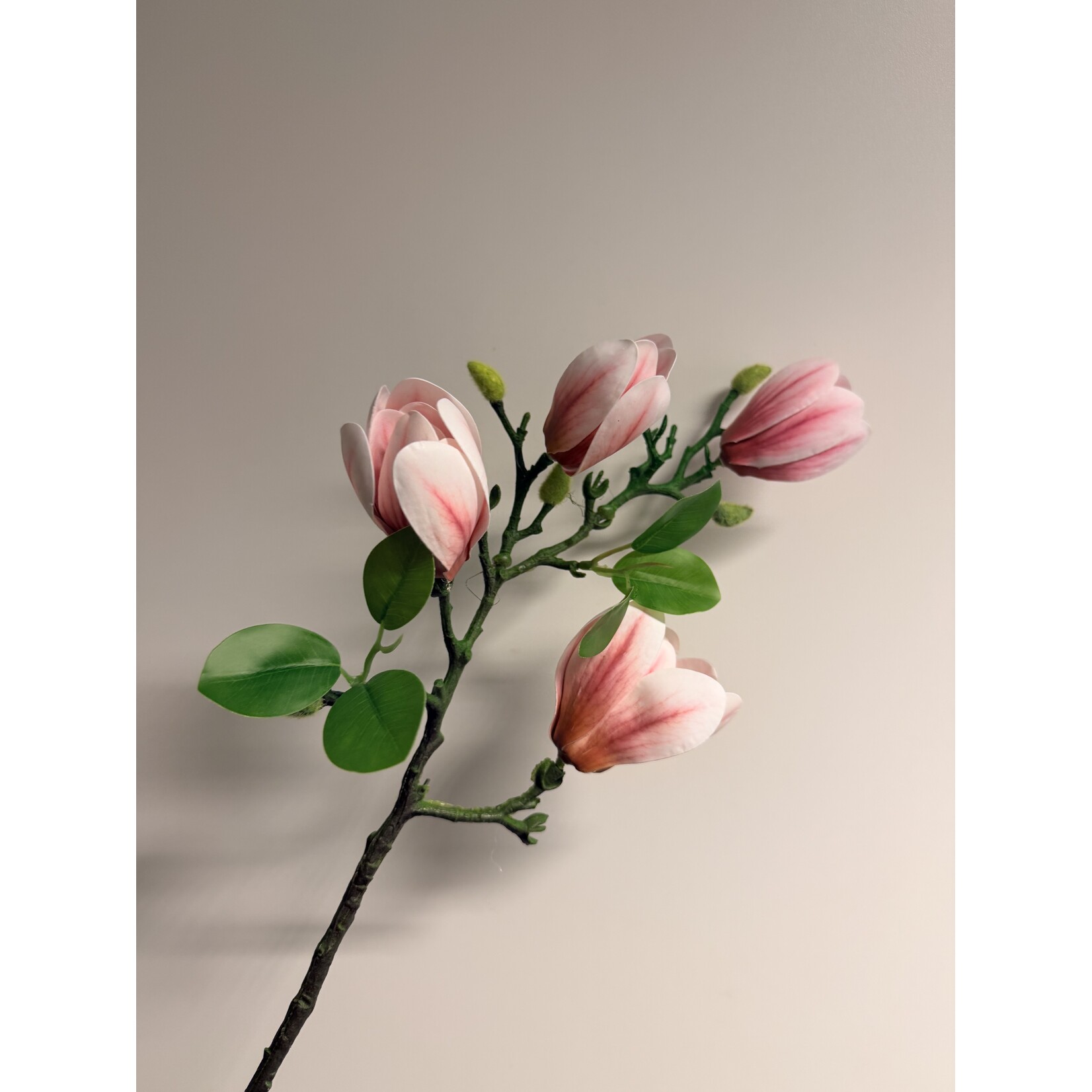 MAGNOLIA SVERIGES | LIGHT PINK | 67 CM