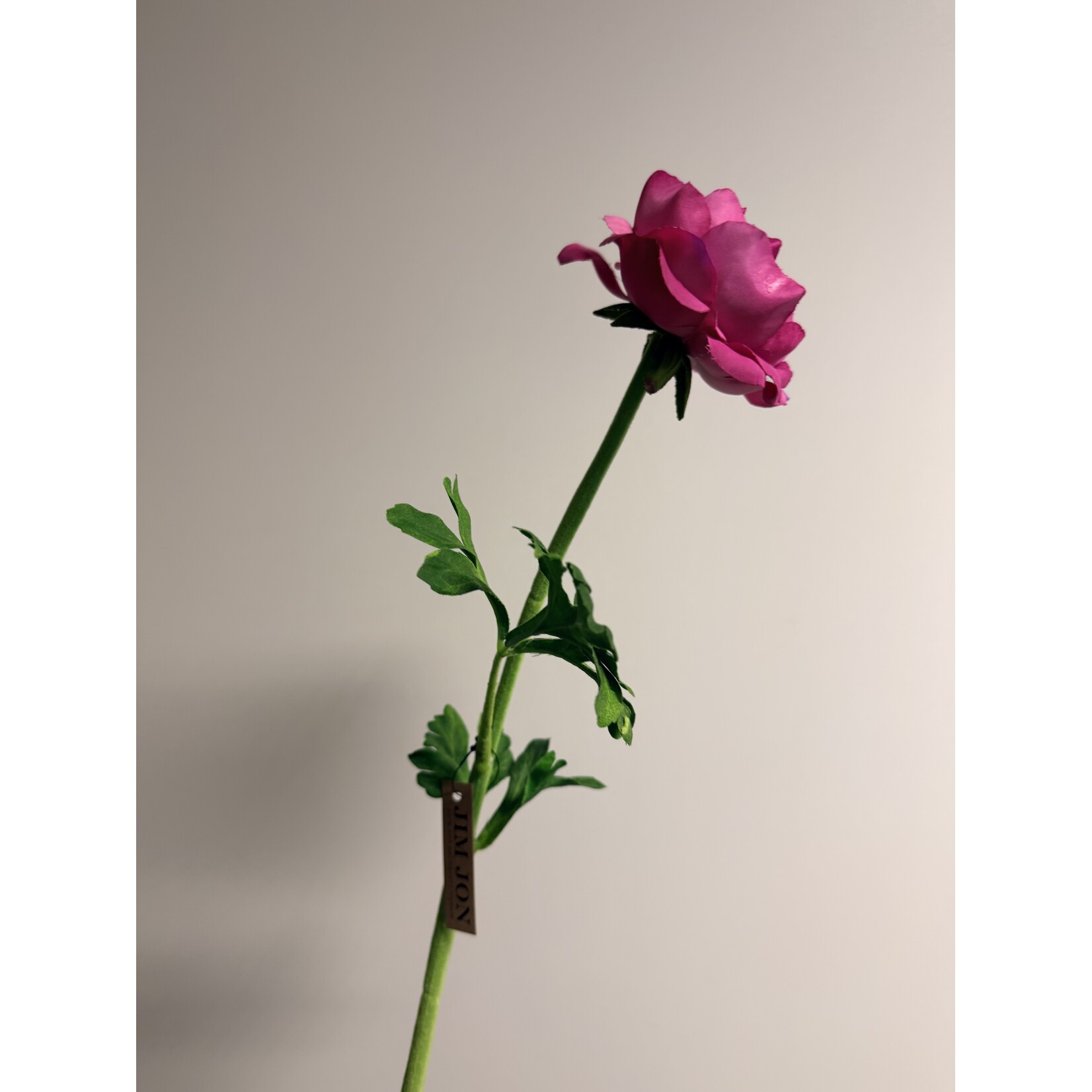 RANONKEL | FUCHSIA | 46 CM