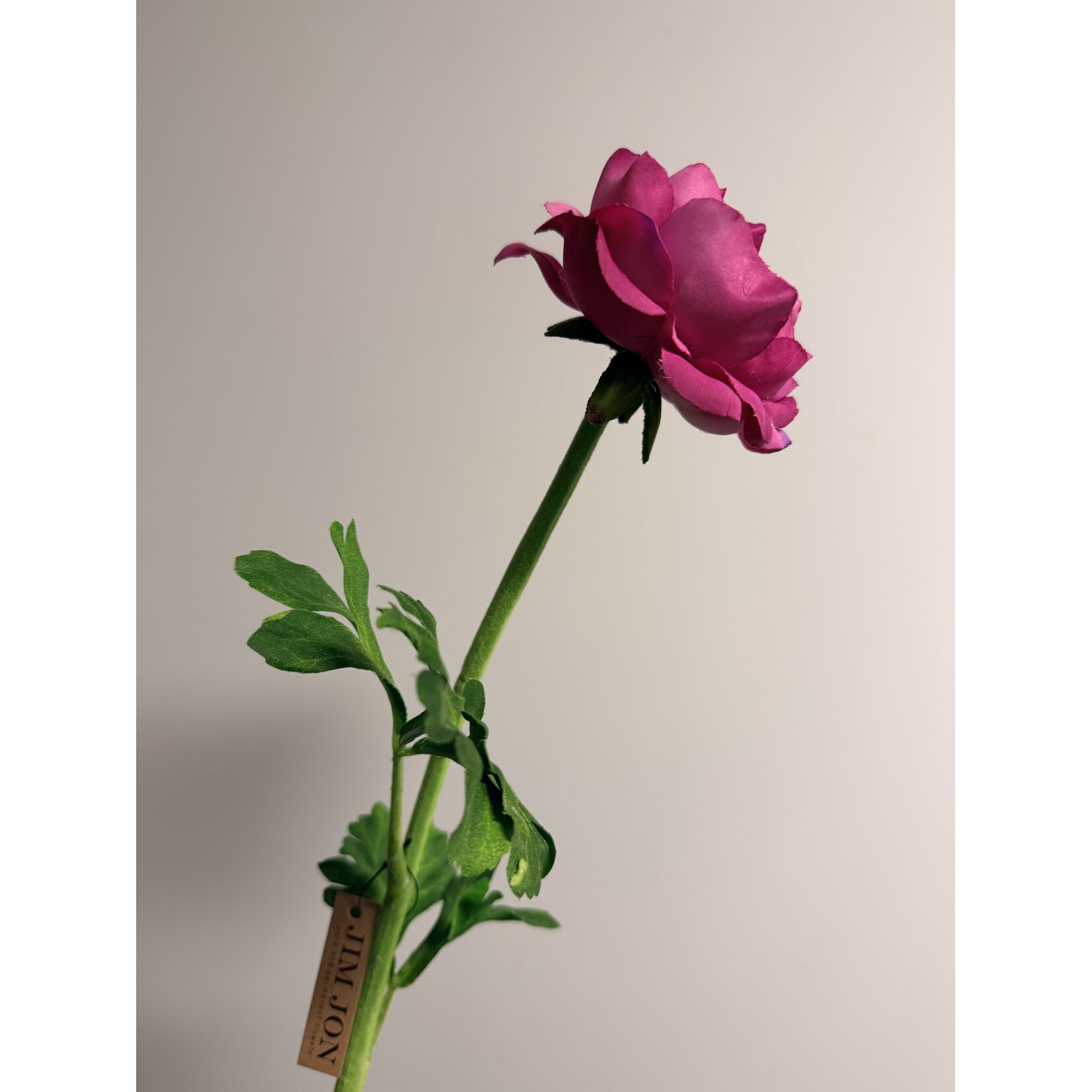 RANUNCULUS | FUCHSIA | 46 CM