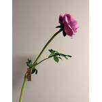 RANONKEL | ROZE | 46 CM