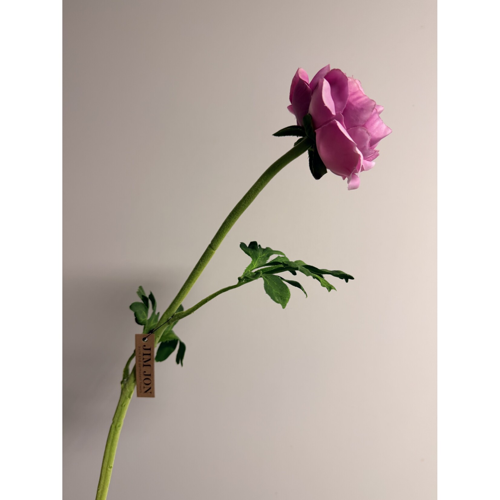 RANONKEL | ROZE | 46 CM