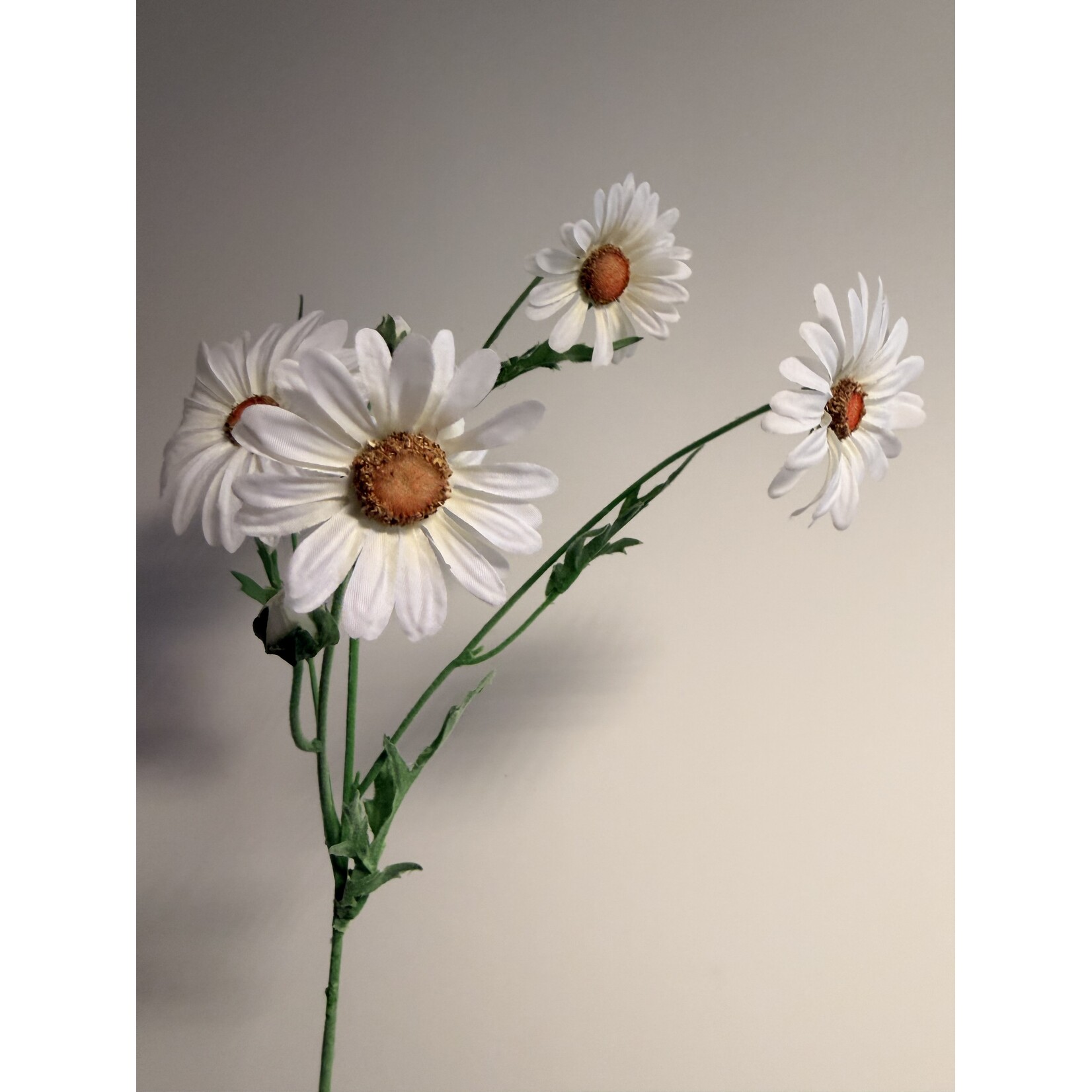 MARGRIET MAIKONIGIN | WIT | 60 CM