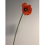 POPPY SINGLE| ORANGE | 70 CM