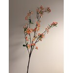 BLOSSOM | PINK CREME | 110 CM