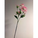 BLOSSOM | PINK | 77 CM   - Copy