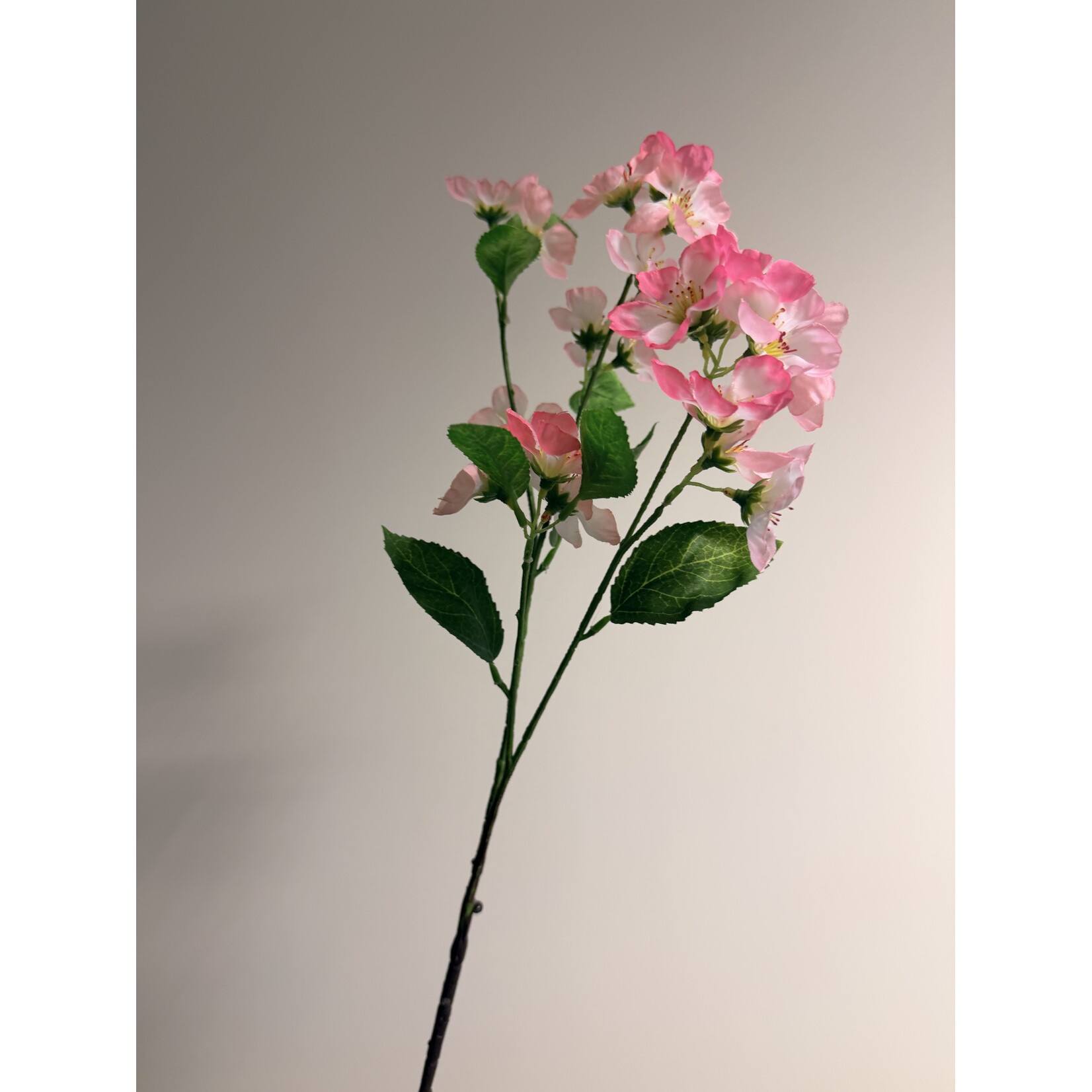 BLOSSOM | PINK | 77 CM  - Copy