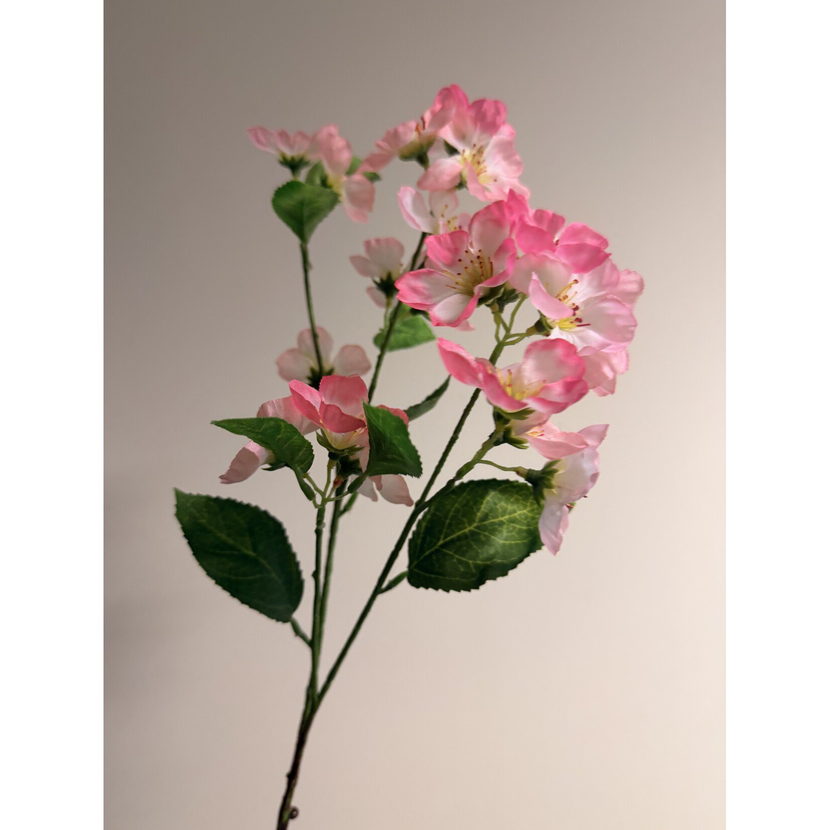 BLOSSOM | PINK | 77 CM  - Copy