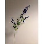DELPHINIUM | BLAUW | 86 CM