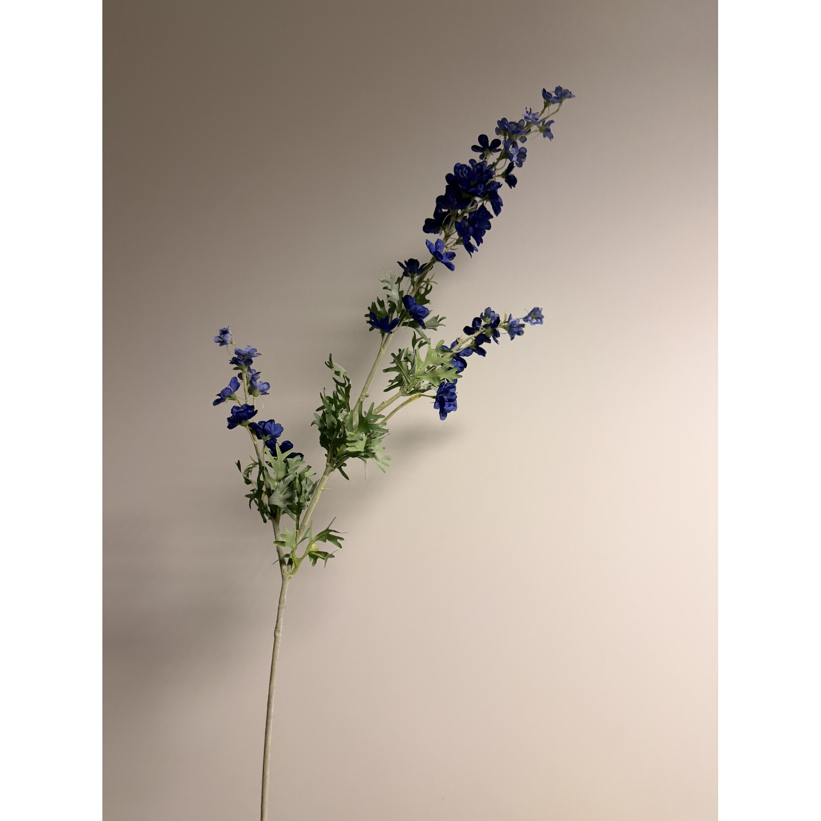 DELPHINIUM | BLAUW | 86 CM