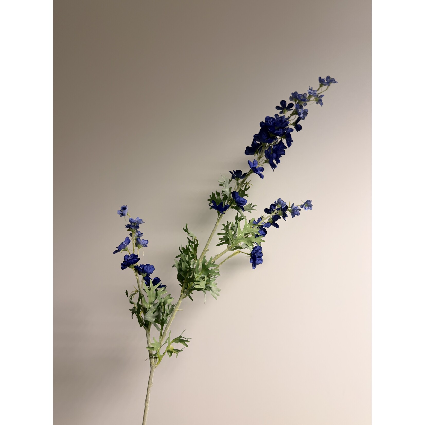 DELPHINIUM | BLAUW | 86 CM