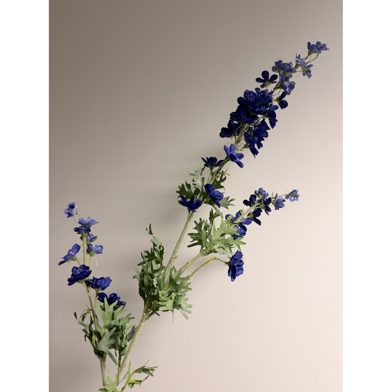 DELPHINIUM | BLAUW | 86 CM