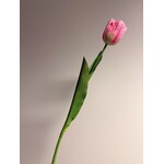TULIP | PINK | 61 CM