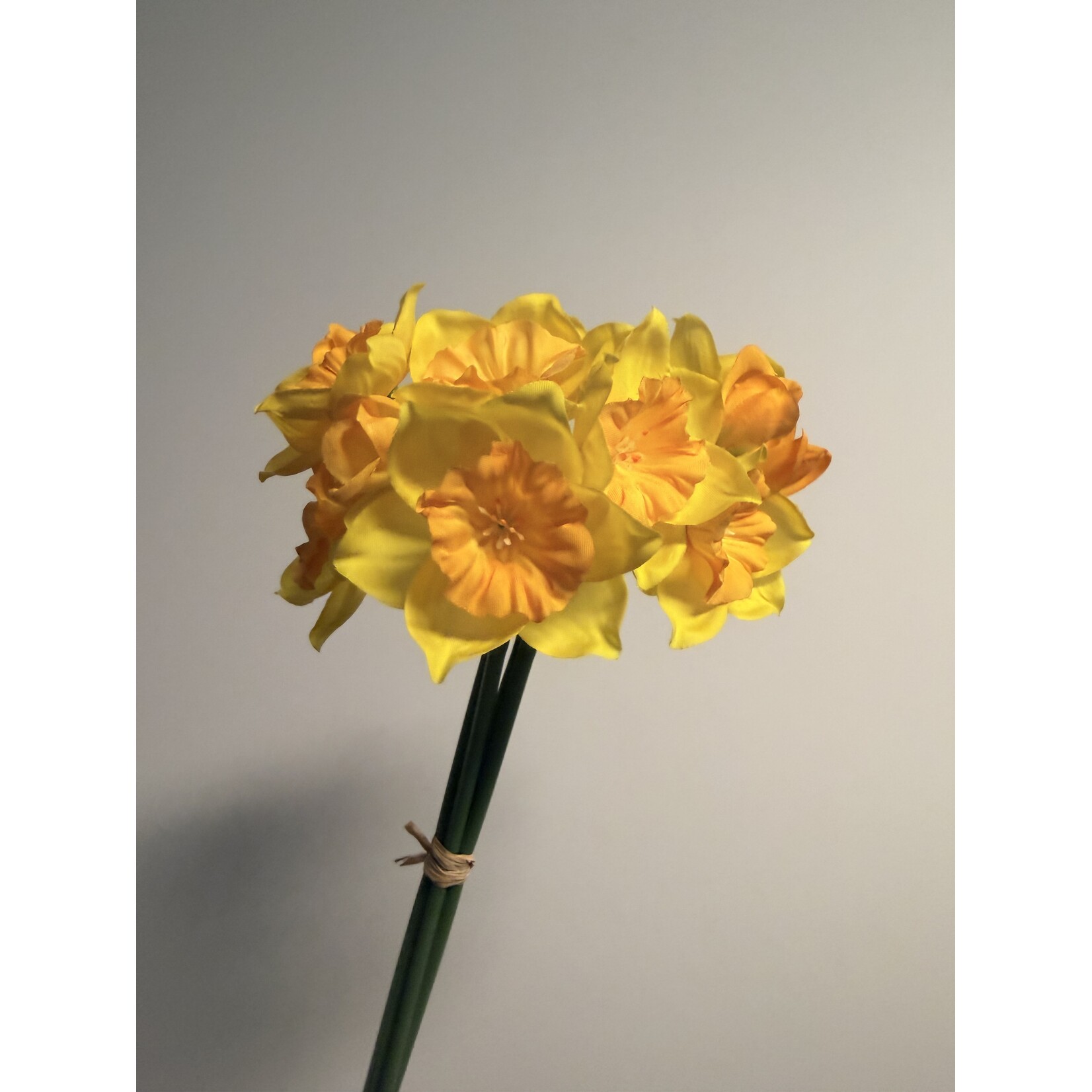 NARCIS BOSJE | GEEL | 38 CM