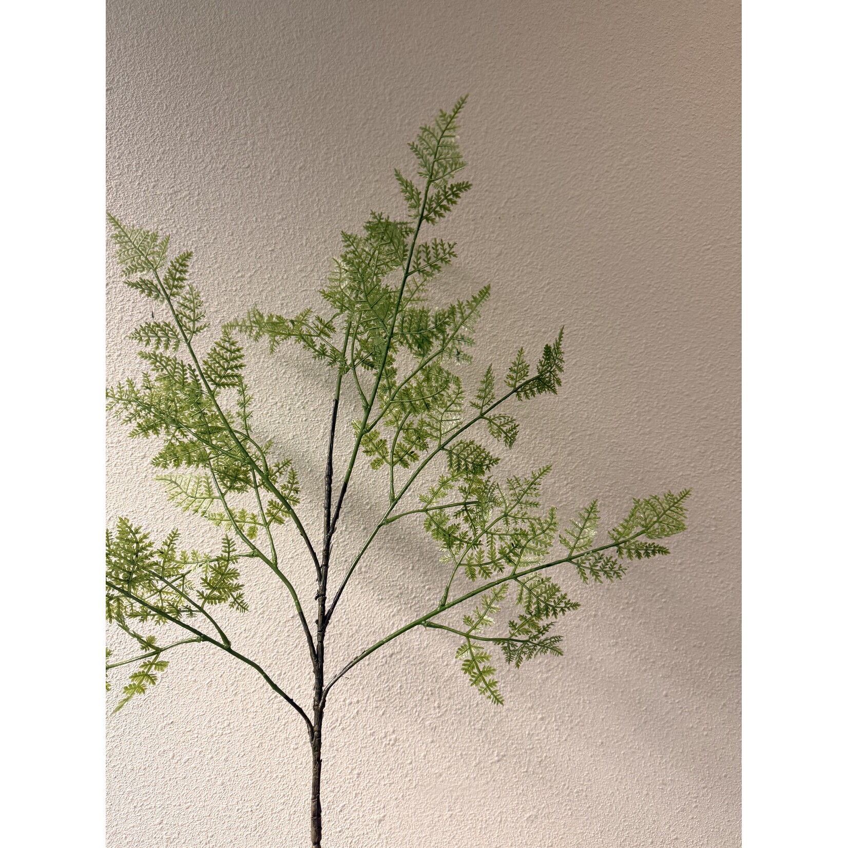 VAREN TAK FALCATUS | GROEN | 87 CM